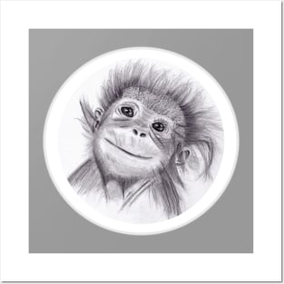 Baby Orangutan Drawing in Pencil Posters and Art